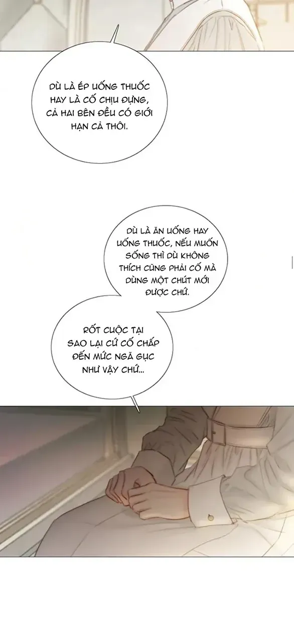 Serena Chapter 133 - AB Truyện