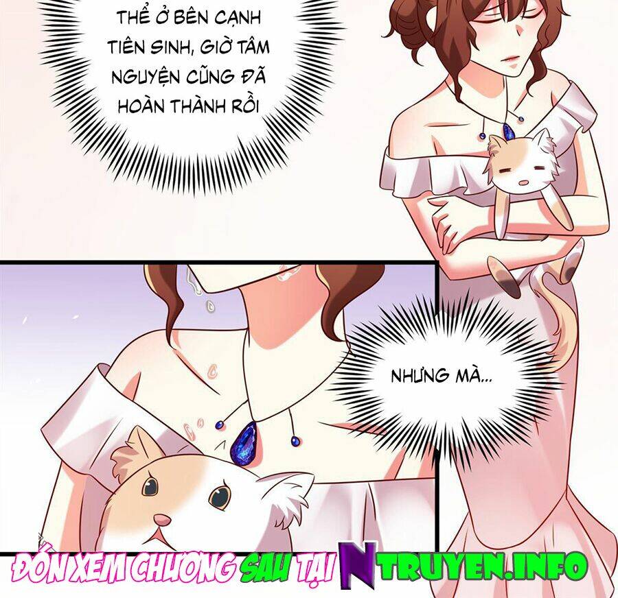 Khế hôn Chapter 80 - AB Truyện