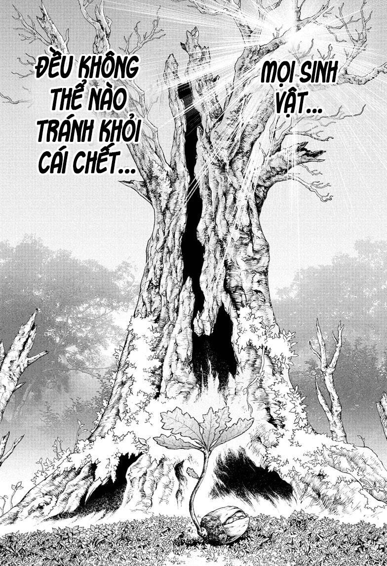 Hồi Sinh Thế Giới Chapter 230 - TC Truyện