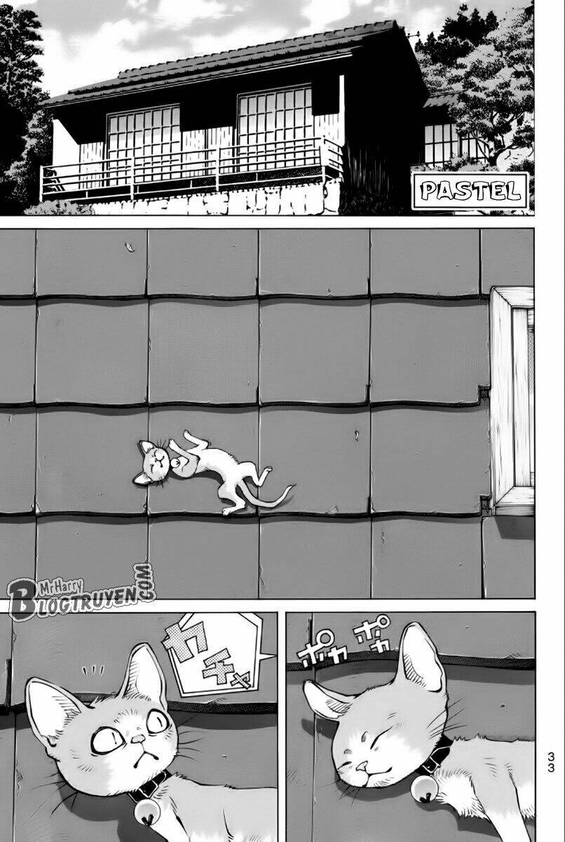 Pastel Chapter 174 - TC Truyện