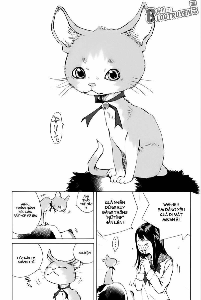 Pastel Chapter 174 - TC Truyện